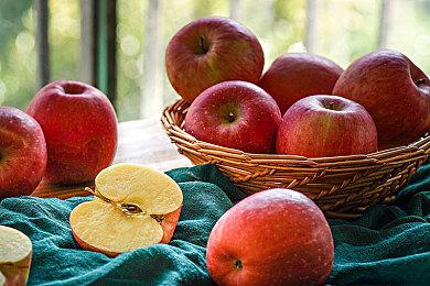 Epic商城版本游戏无法运行大型Mod《辐射：伦敦》